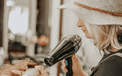 Why You’ll Benefit from a Blowout: From Classic Styling to the Brazilian Blowout