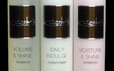 Meet Our New Shampoo and Conditioner for Perfect Hair: Garbo’s Enhanced Professional Line