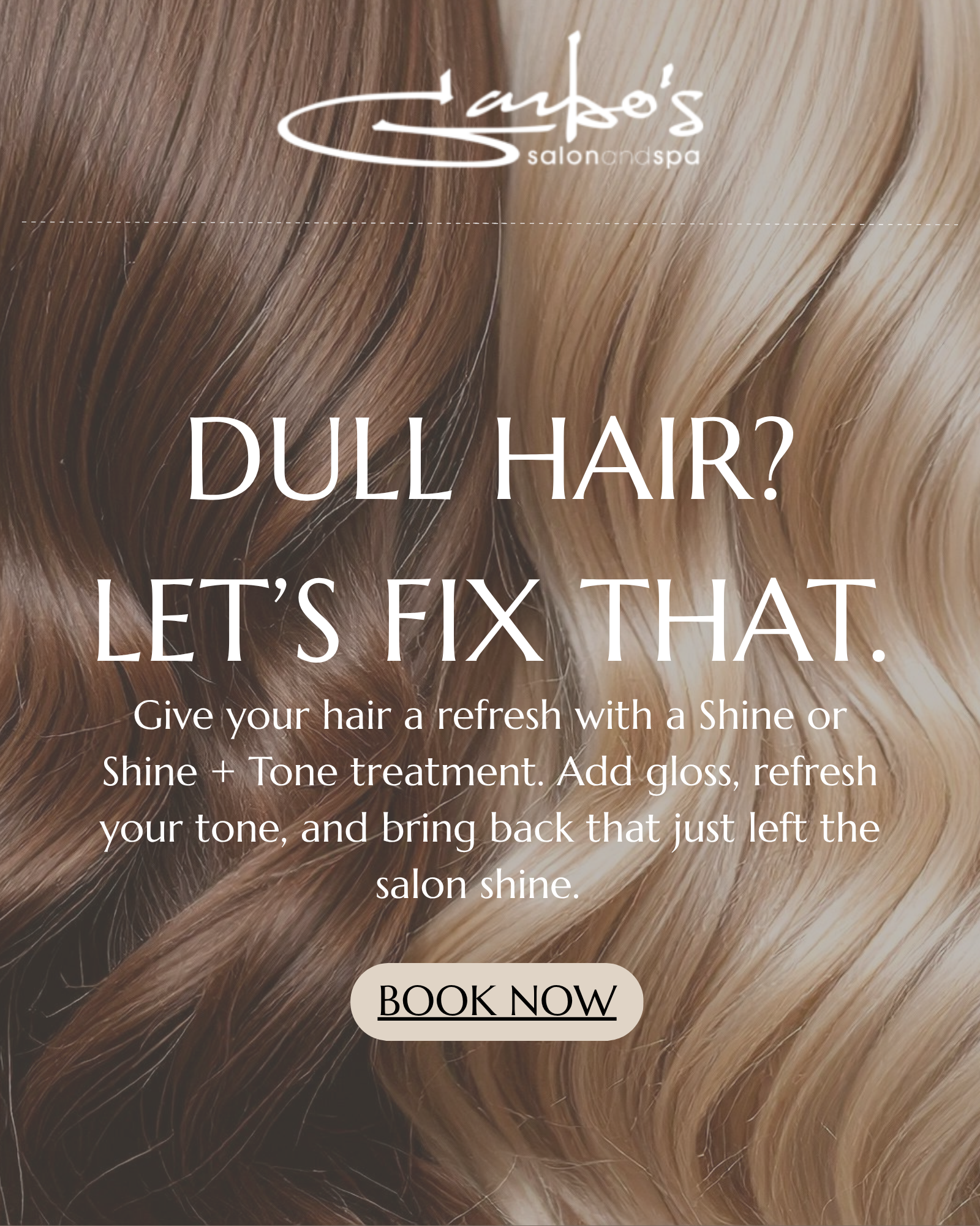 Dull Hair - Let's Fix That